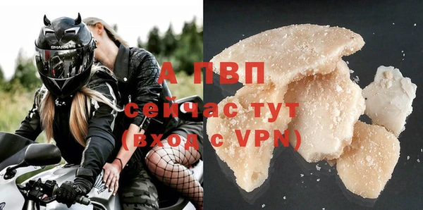 Альфа ПВП Снежногорск