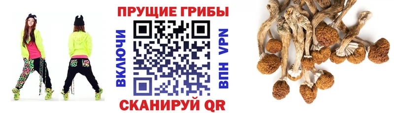 Псилоцибиновые грибы ЛСД  Киренск 